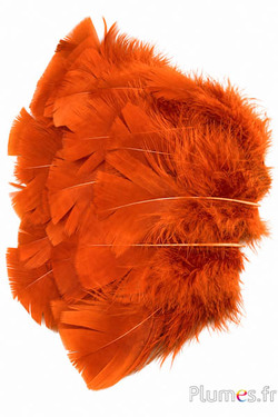 Pute - 6-8 cm - aztekengold